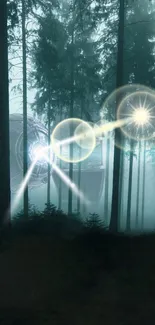 Mysterious forest with glowing light flares in the mist.