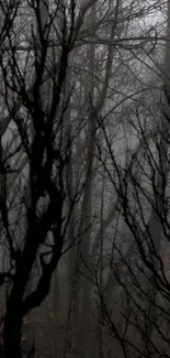 Eerie dark forest with mist and bare tree silhouettes.