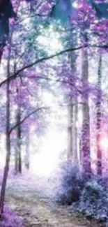 Mystical forest with purple light and trees, creating a serene mobile wallpaper.