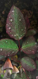 Mystical forest leaves with droplets and mushrooms.