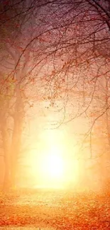 Mystical forest path with glowing light and autumn leaves.