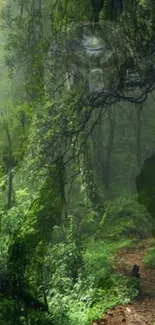 Mystical forest path with greenery and a serene atmosphere.