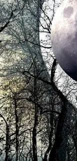 Mystical moonlit forest with tree silhouettes and moon.