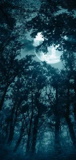 Mystical moonlit forest with tall silhouetted trees.