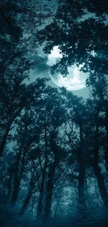 Mystical forest with a bright moon shining through tree branches at night.