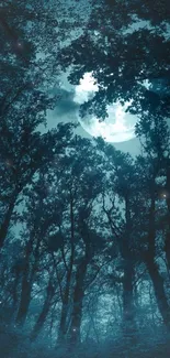 Mystical forest scene with moonlight through trees at night.