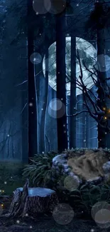 Magical forest scene with full moon and dimly lit shadows.