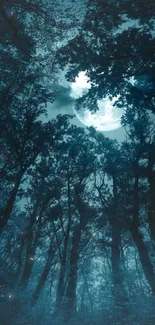 Moonlit forest night with teal blue sky.