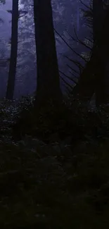 Dark, mystical forest at night with a serene atmosphere.