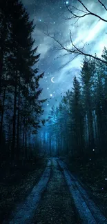 Mystical night forest path with starry sky and moonlight enhancing magical scenery.