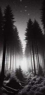 Monochrome wallpaper of a starlit forest night scene.