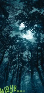 Mystical forest with moonlight breaking through trees, perfect for mobile wallpaper.