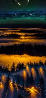 Mysterious night forest with glowing trees and starry sky above.