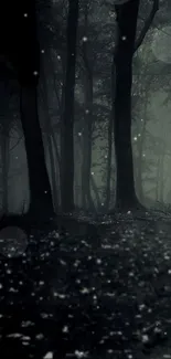 Mystical forest at night with dark trees and quiet ambiance.