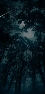 Dark, mystical forest with moonlit sky and shooting star.