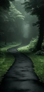 Misty forest path with lush greenery and serene vibes.