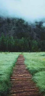 Lush green forest path with mist and wooden trail.