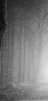 Mystical grayscale forest path with fog.