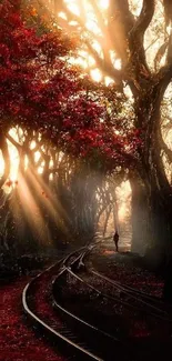 Mystical forest path with glowing sunlight surrounded by trees.