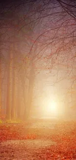 Mystical forest path with autumn leaves and glowing light.