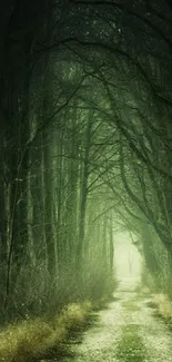 A mystical pathway through a dark, enchanting forest with soft, glowing light.