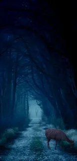 Mystical dark blue forest path with deer under twilight sky.