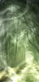 Ethereal forest path with green trees and misty ambiance for phone wallpaper.