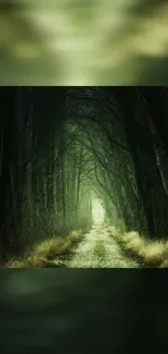 Mystical forest path lined with lush, dark green trees.