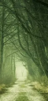 Mystical forest pathway with overhanging trees and grassy path.