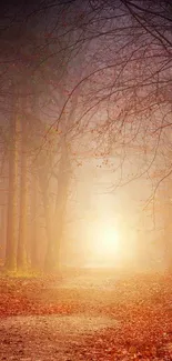 Enchanted autumn forest path with glowing sunlight.