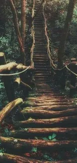 Mystical forest pathway with wooden stairs.