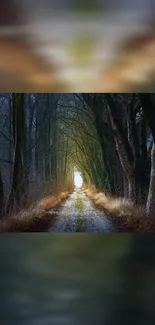 Mystical forest pathway with lush trees and serene light.