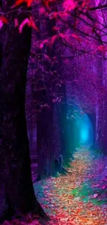 Mystical forest pathway with purple hues and glowing light.