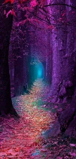 Purple and pink mystical forest path wallpaper.