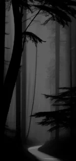 A dark, mystical forest path mobile wallpaper.