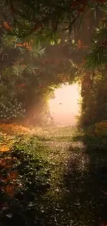 Mystical forest pathway with sunlight streaming through lush greenery.