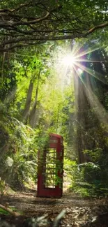 Red phone booth in sunlit green forest with mystical atmosphere.