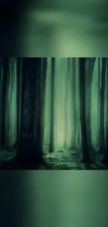 Mystical forest scene with tall trees and green hues, perfect for mobile wallpaper.