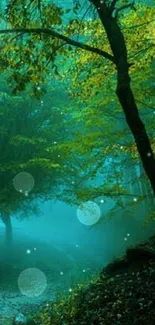 Mystical forest wallpaper with green trees and a foggy, serene path.