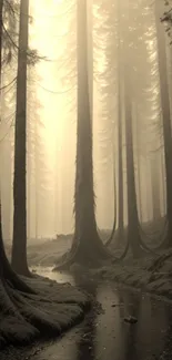 Mystical forest with tall, misty trees in sepia tones.