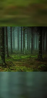 Mystical forest with green trees and a serene atmosphere.