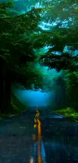 Misty forest road with lush green trees in a calming blue atmosphere.