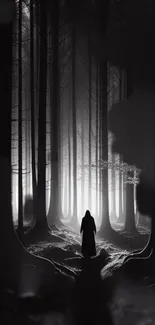 Silhouette in a mystical black and white forest.