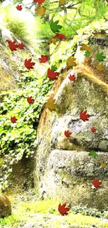 Stone faces overgrown with green plants in a forest setting.