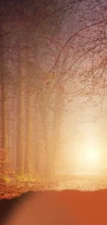 Sunlit forest path with glowing sunrise through the trees, creating a mystical ambiance.