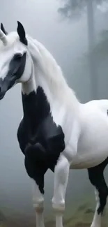 Majestic unicorn in a misty forest setting.