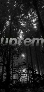 Black and white forest wallpaper with a mystical vibe and Supreme text.