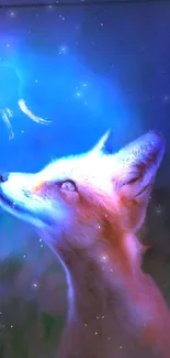 Mystical fox gazing at a glowing blue light with a starry background.