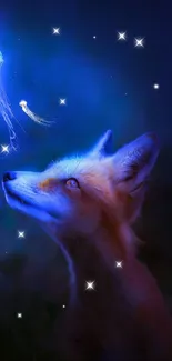 Fox with glowing jellyfish in a mystical night scene wallpaper.