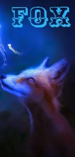 Fox gazing at a glowing jellyfish in mystical, dark blue background wallpaper.